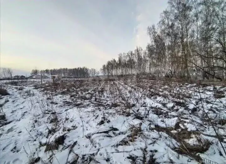 Участок в Калужская область, Бабынинский муниципальный округ, ... - Фото 1