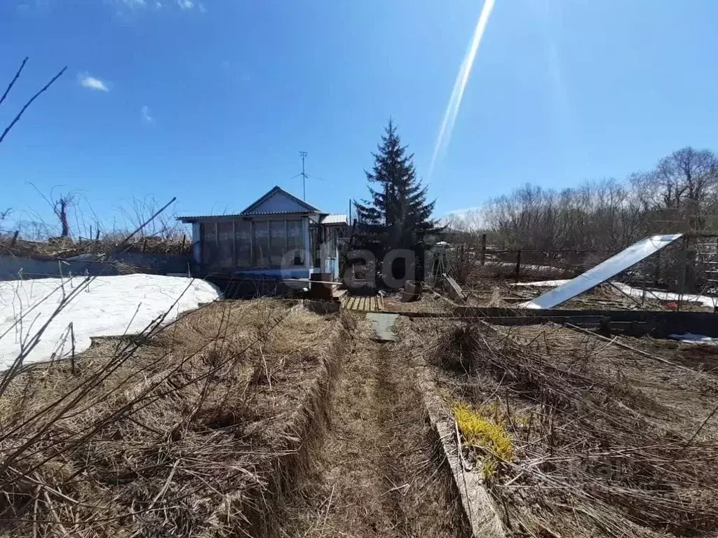 Участок в Камчатский край, Елизовский муниципальный округ, пос. ... - Фото 1