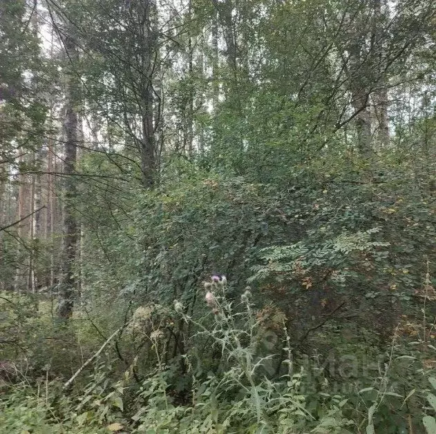 Участок в Московская область, Павловский Посад  (15.0 сот.) - Фото 1