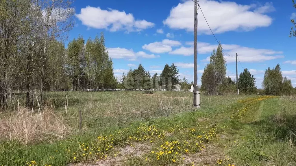 Участок в Томская область, Томск Ветеран садовое товарищество,  (15.5 ... - Фото 1
