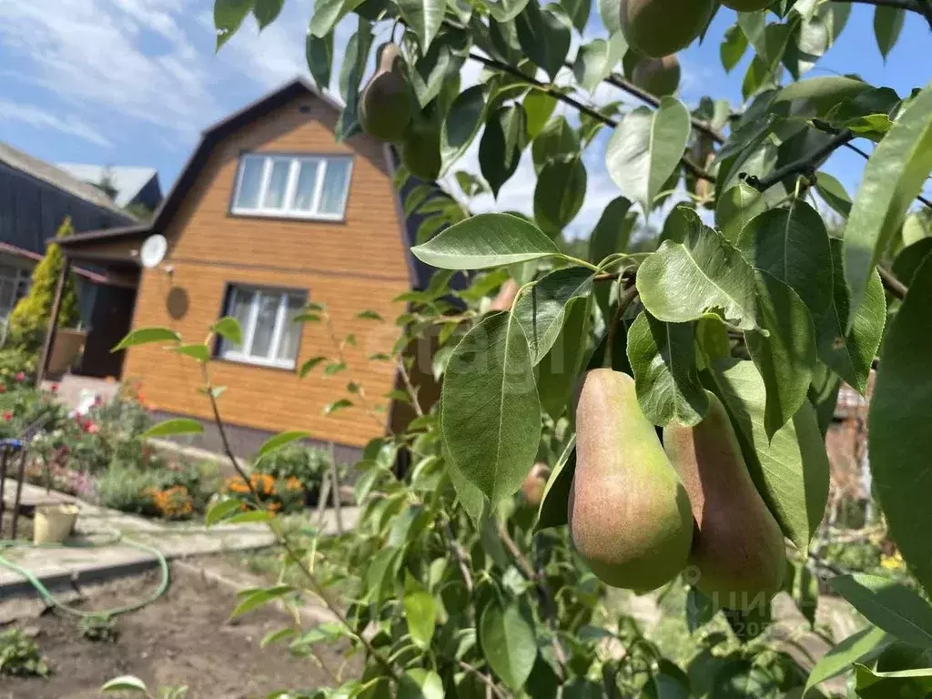 Дом в Саратовская область, Саратов Белые росы СНТ, 36 (60 м) - Фото 2