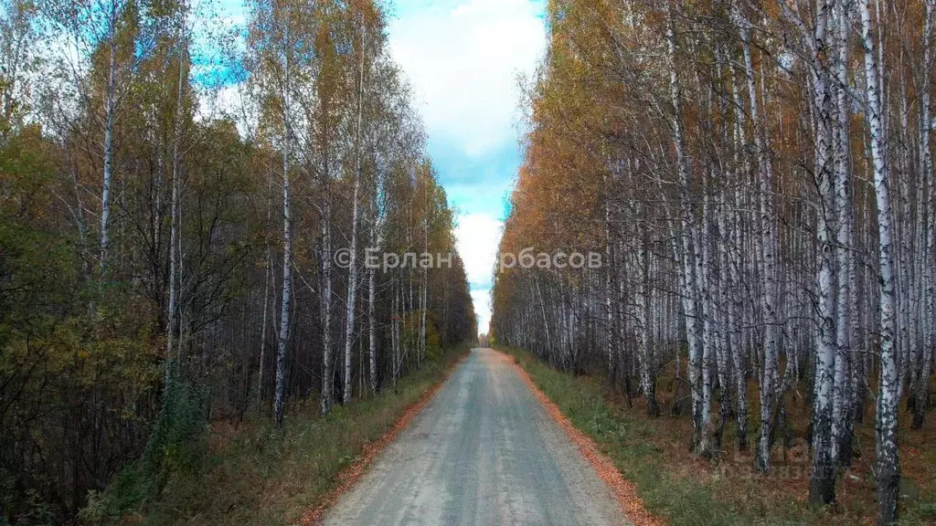 Участок в Челябинская область, Аргаяшский муниципальный округ, Увильды ... - Фото 2