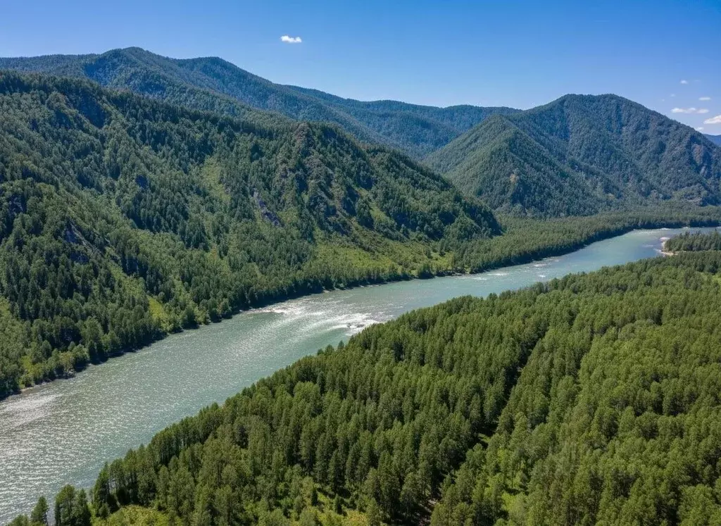 Участок в Алтай, Майминский район, с. Усть-Муны Набережная ул., 58 ... - Фото 2