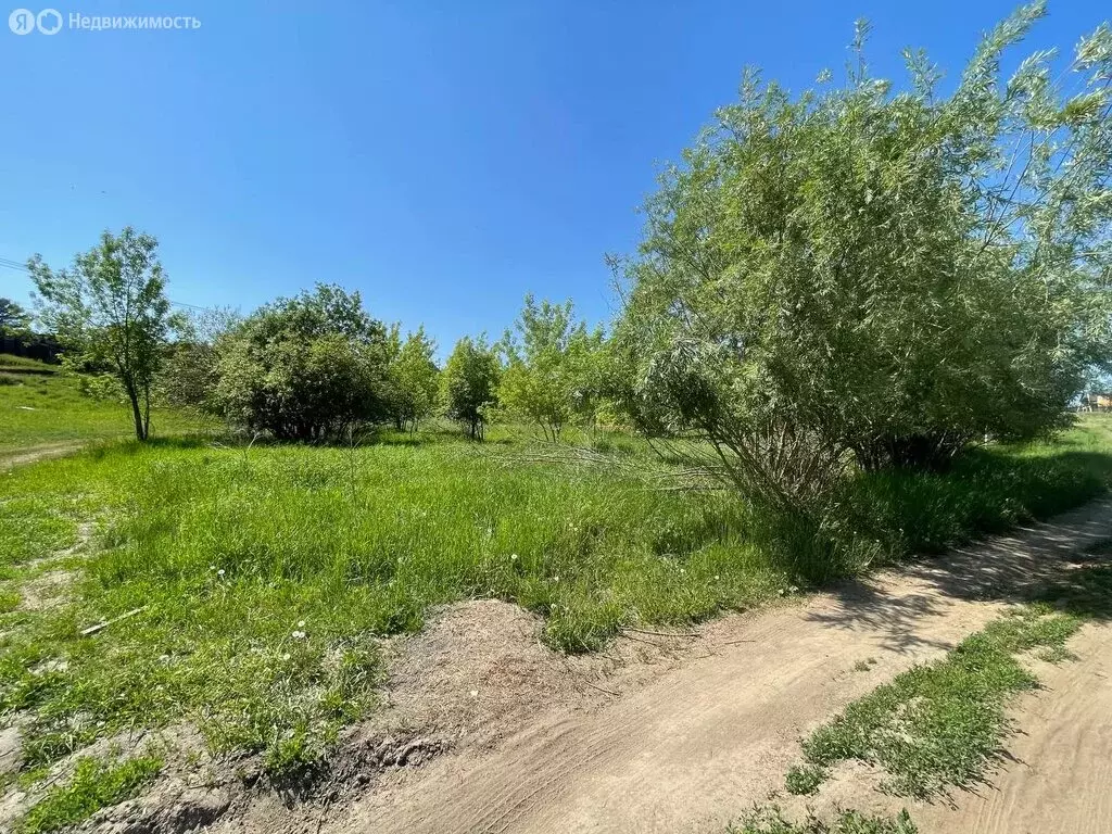 Участок в Мамоны, Зелёная улица (19 м) - Фото 1