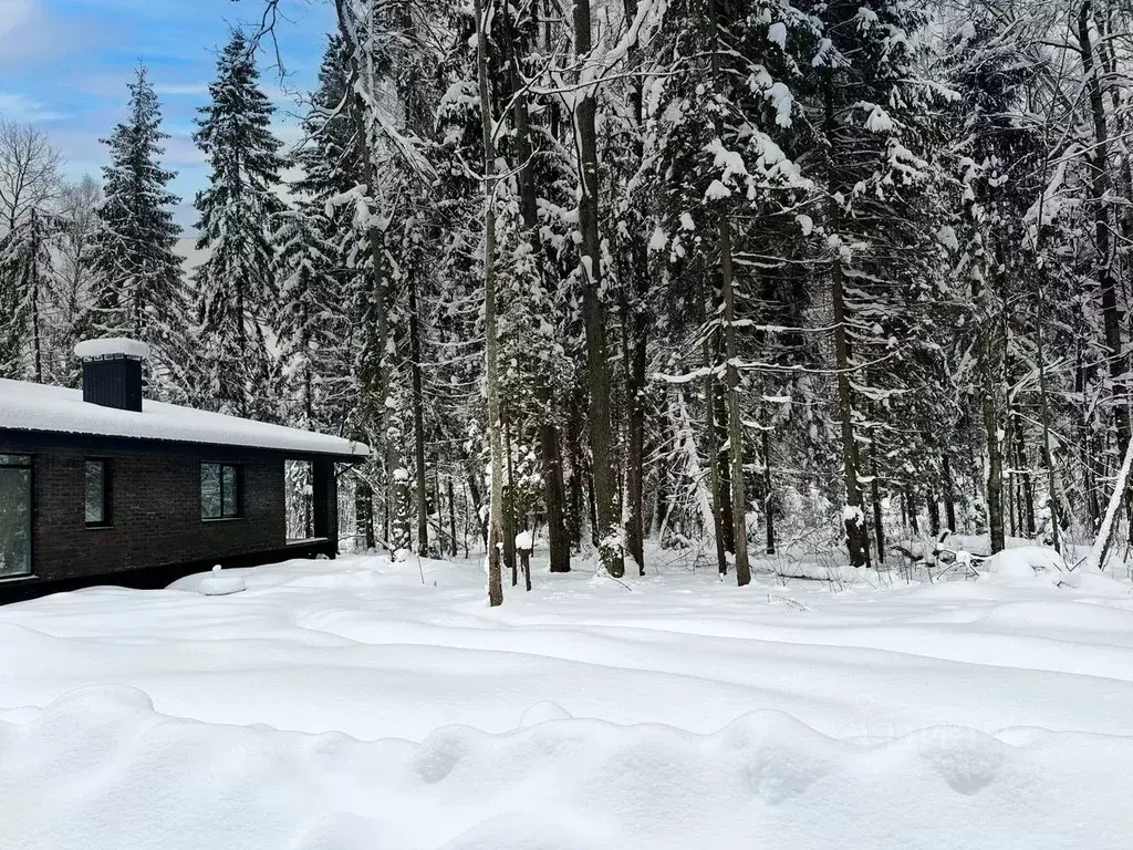 Участок в Московская область, Дмитровский муниципальный округ, ... - Фото 1