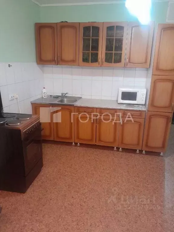 Студия Новосибирская область, Новосибирск Затулинский жилмассив, ул. ... - Фото 2