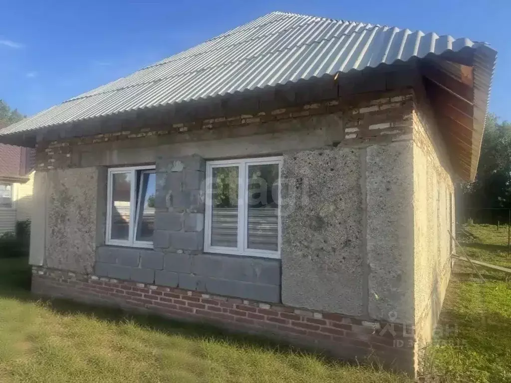 Дом в Челябинская область, Пласт Корейский пер., 10А (98 м) - Фото 1