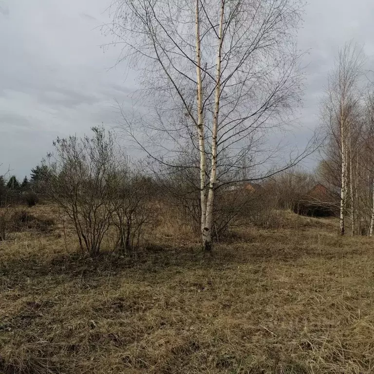 Участок в Псковская область, Печорский муниципальный округ, д. ... - Фото 2