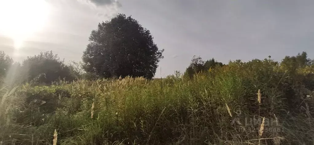 Участок в Московская область, Талдомский городской округ, д. ... - Фото 1