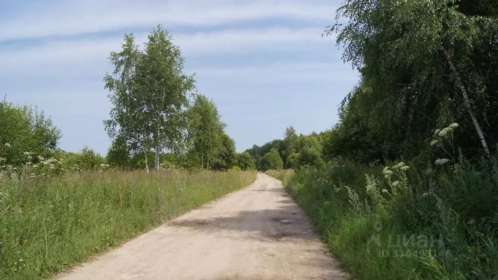 Участок в Московская область, Можайский городской округ, д. Большие ... - Фото 0