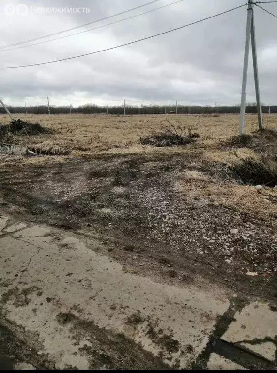 Участок в Архангельская область, Приморский муниципальный округ, СНТ ... - Фото 1