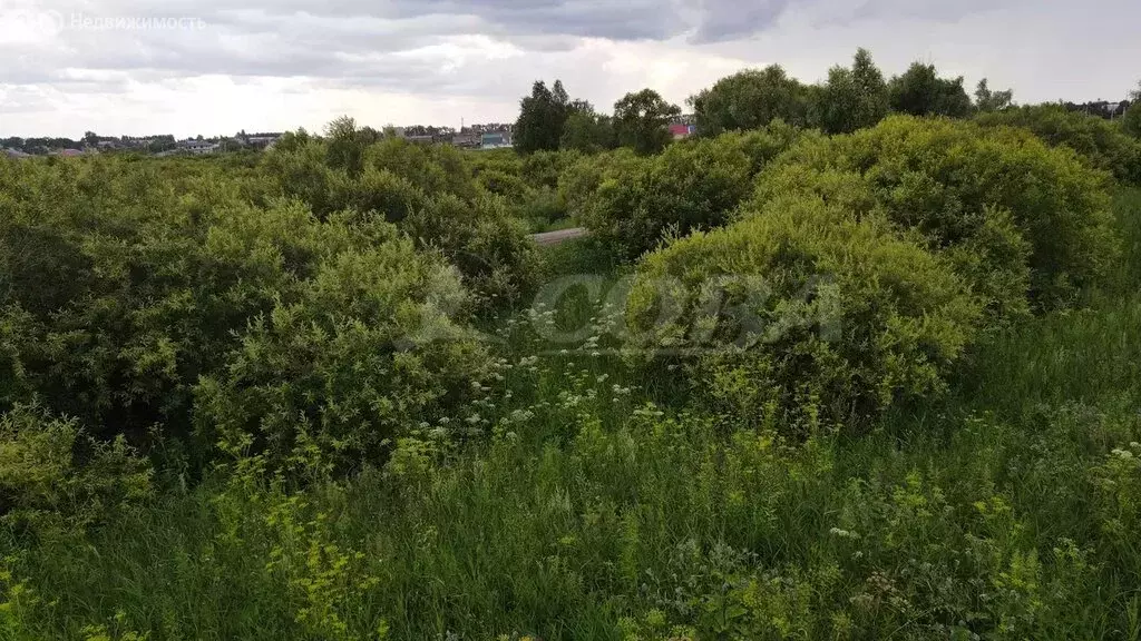 Участок в Тюменский район, село Борки (19 м) - Фото 0