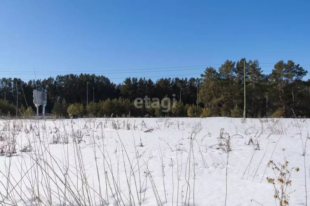 Участок в Тюменская область, Тюменский район, с. Борки  (51.5 сот.) - Фото 0