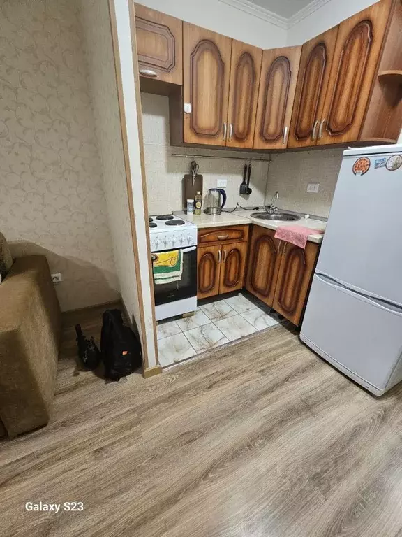 Студия Ленинградская область, Никольское Тосненский район, Октябрьская ... - Фото 1