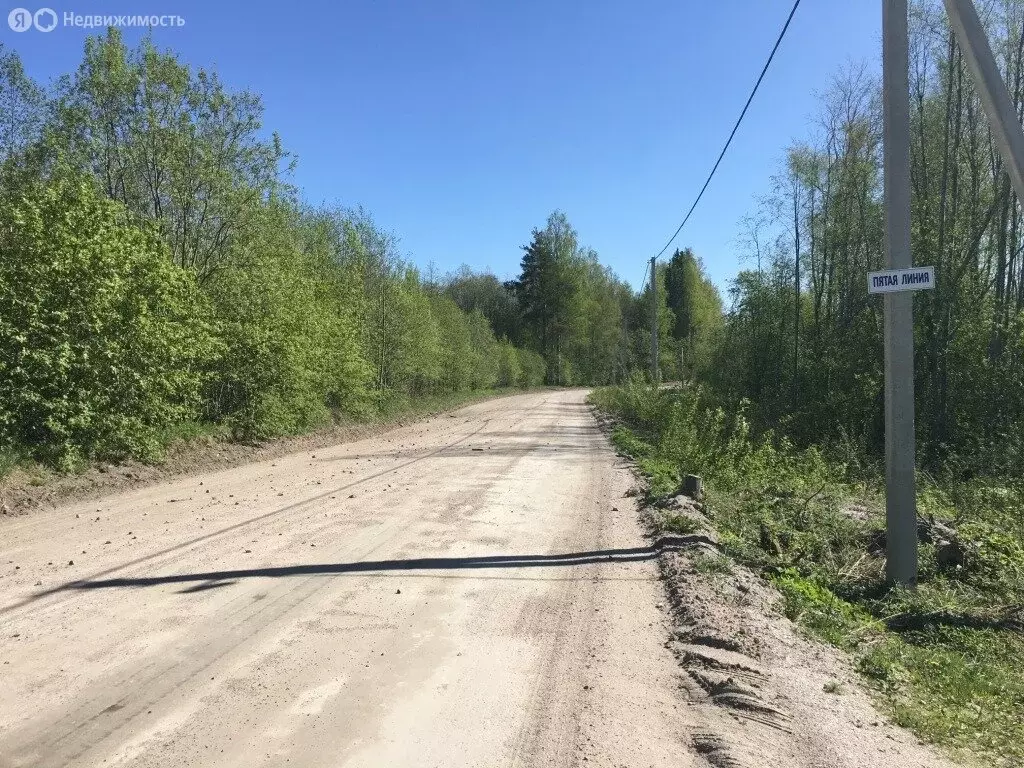 Участок в Приозерский район, Кузнечнинское городское поселение, ... - Фото 1