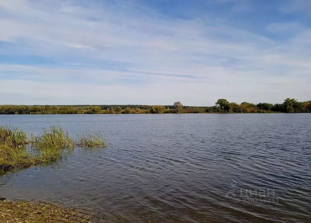 Дом в Московская область, Коломна городской округ, с. Акатьево  (65 м) - Фото 2