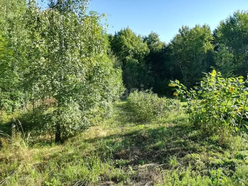 Участок в Калужская область, Калуга городской округ, д. Желыбино  (9.9 ... - Фото 0