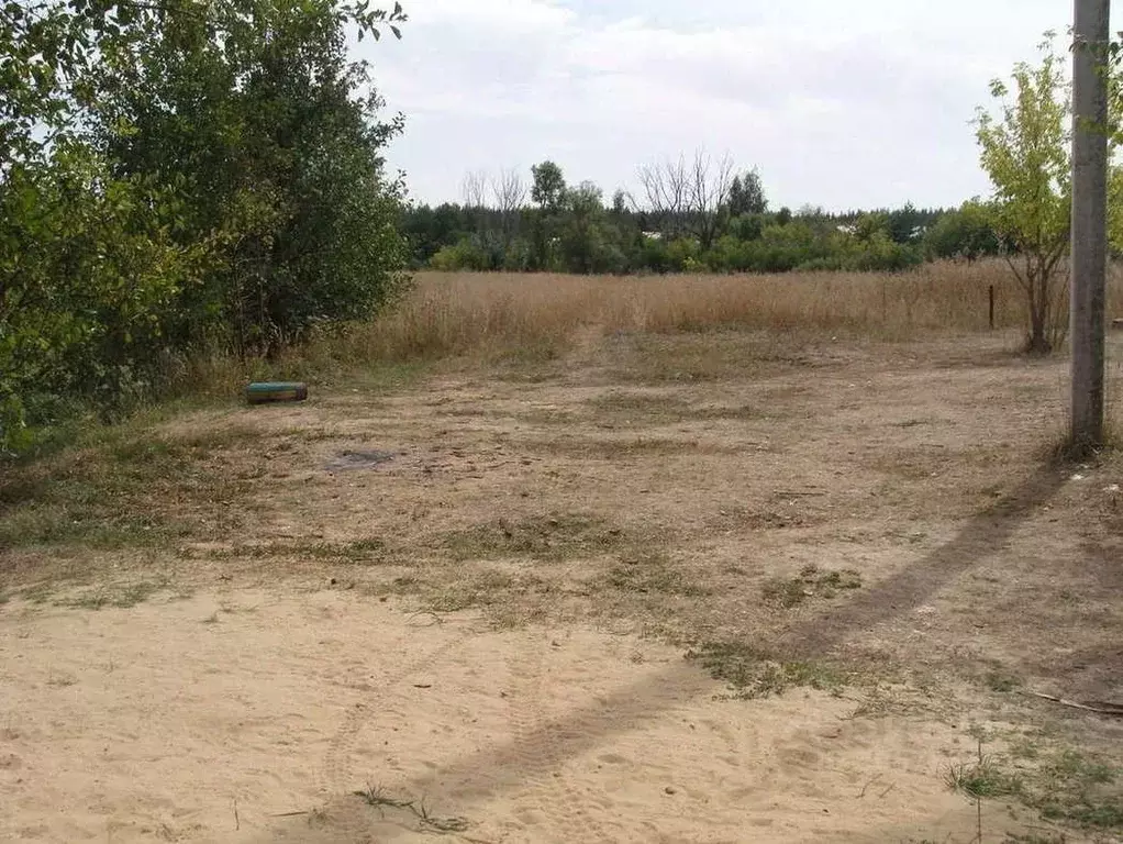 Участок в Воронежская область, Новоусманский район, с. Хреновое  (30.0 ... - Фото 1