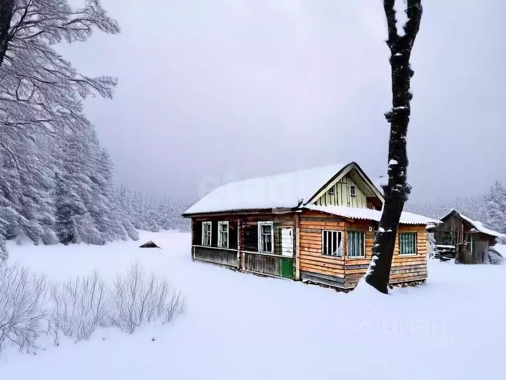 Дом в Смоленская область, Демидовский муниципальный округ, д. Побоище ... - Фото 2