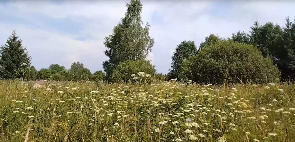 Участок в Московская область, Наро-Фоминский городской округ, д. ... - Фото 0
