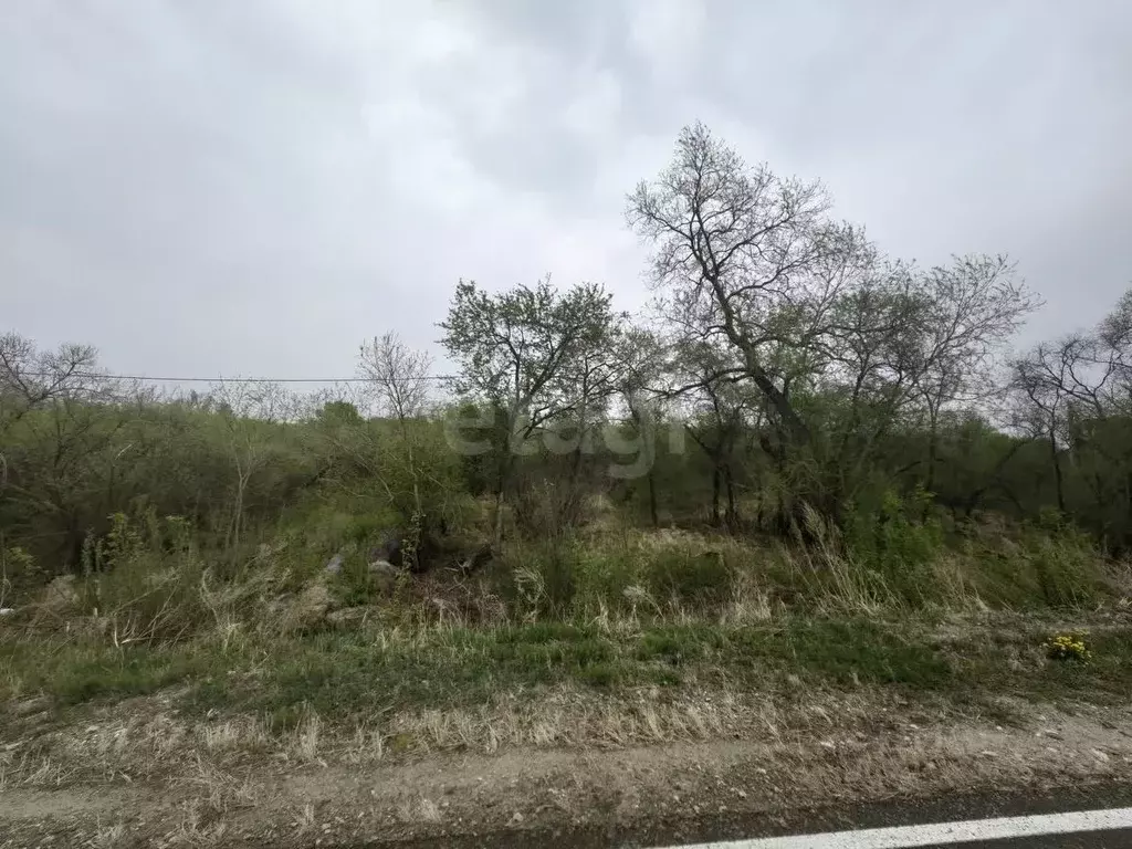 Участок в Амурская область, Благовещенск пос. Зазейский,  (15.0 сот.) - Фото 1