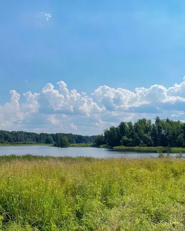 Участок в Ленинградская область, Приозерский район, Ромашкинское ... - Фото 1