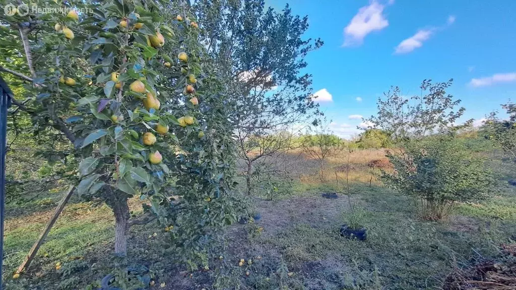 Дом в село Успенское, улица Чапаева, 23 (45 м) - Фото 1