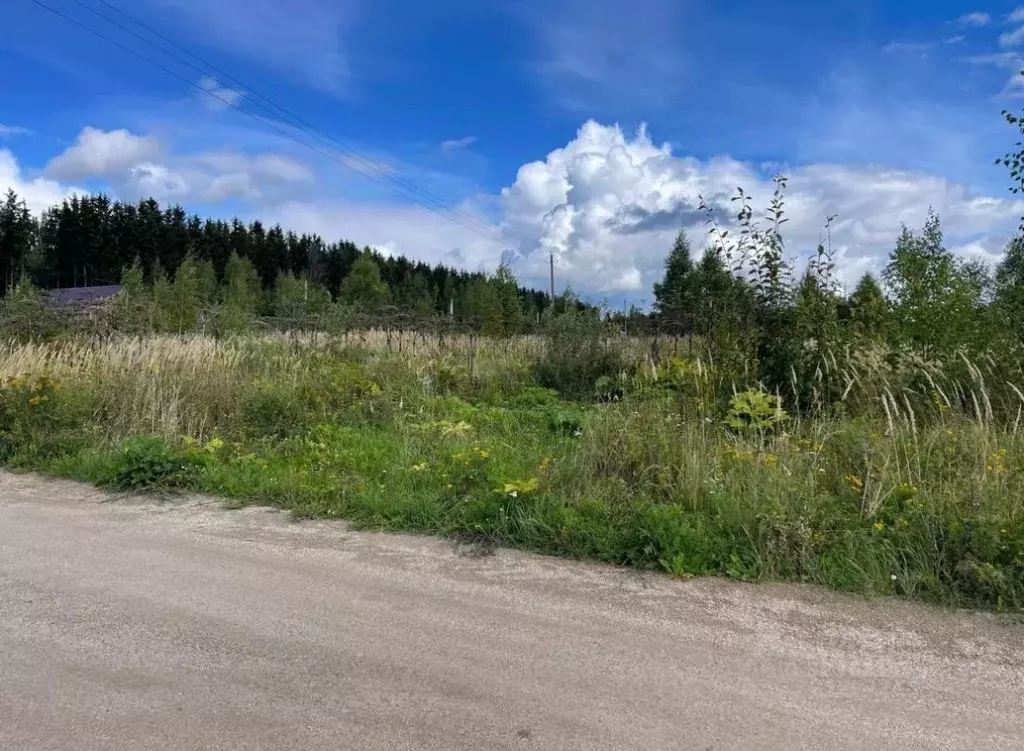 Участок в Ярославская область, Переславль-Залесский муниципальный ... - Фото 1