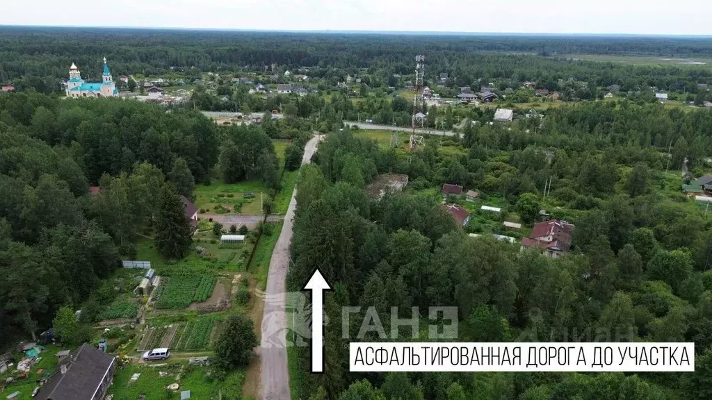 Участок в Ленинградская область, Ломоносовский район, Лебяженское ... - Фото 1