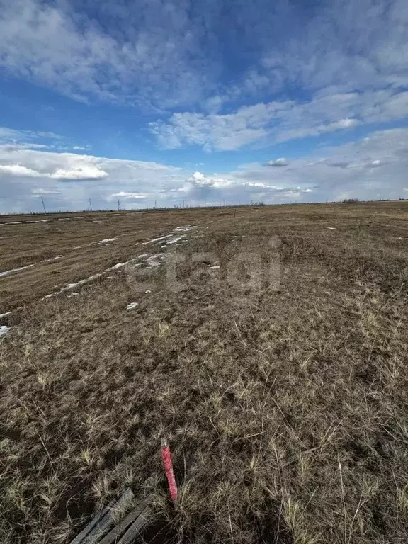 Участок в Саха (Якутия), Якутск городской округ, с. Тулагино  (11.62 ... - Фото 1