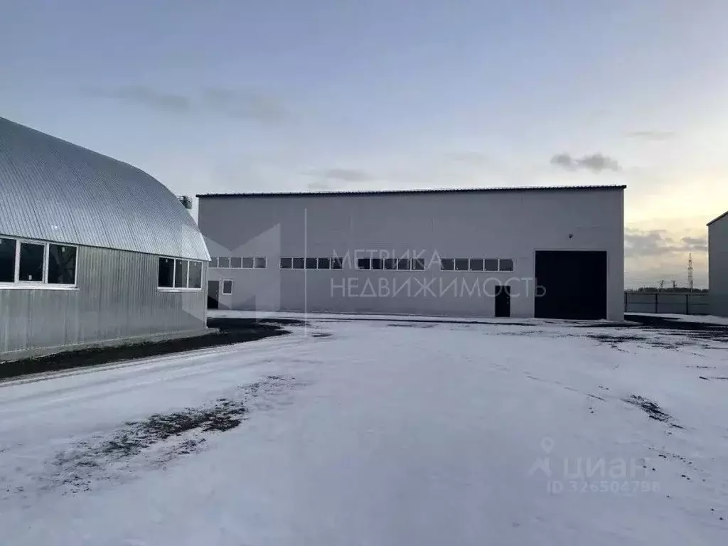 Помещение свободного назначения в Тюменская область, Тюмень 412 (763 ... - Фото 1