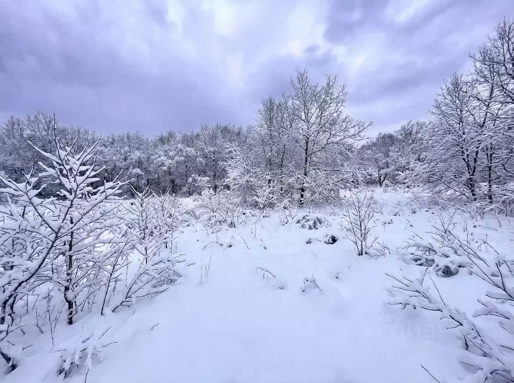 Участок в Камчатский край, Елизово Организатор-2 СНТ,  (6.0 сот.) - Фото 1