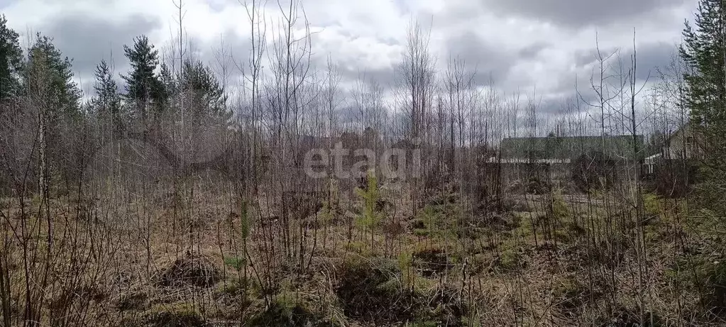 Участок 9,9 сот. (СНТ, ДНП) - Фото 0