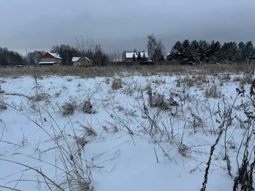 Участок в Московская область, Богородский городской округ, д. Новое ... - Фото 0