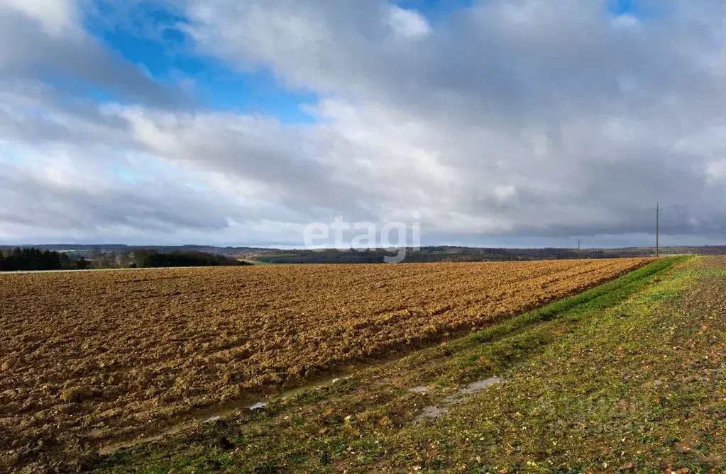 Участок в Крым, Феодосия городской округ, с. Береговое ул. Тракторная ... - Фото 0