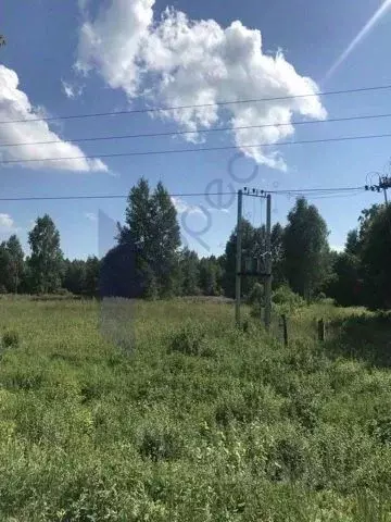 Участок в Нижегородская область, Лысковский район, Богородское с/пос ... - Фото 2