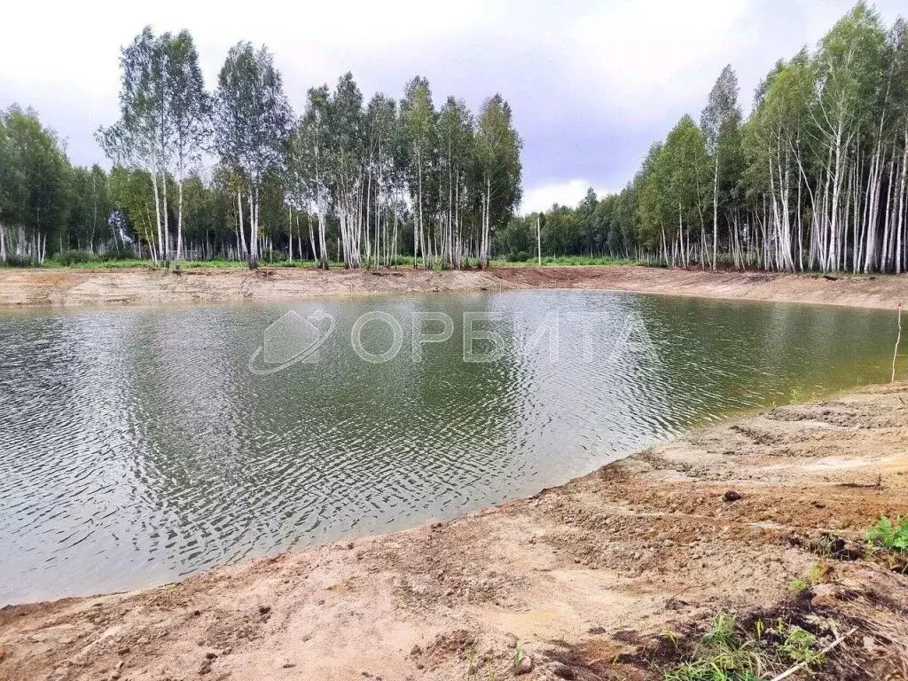 Участок в Тюменская область, Нижнетавдинский район, д. Штакульская  ... - Фото 0