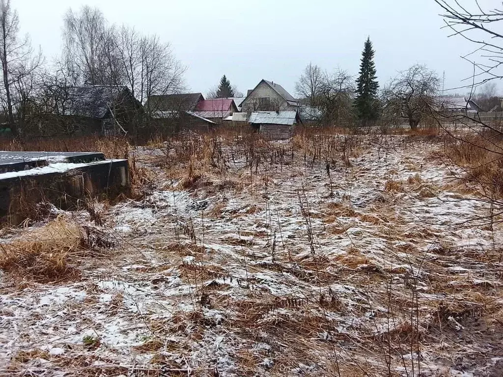 Дом в Тверская область, Селижарово пгт ул. Энгельса, 53 (34 м) - Фото 1