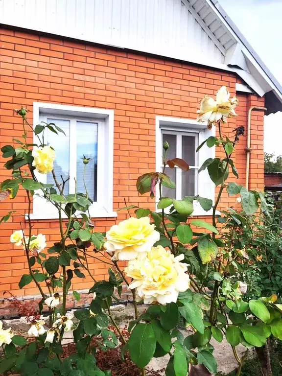 Дом 55 м на участке 10 сот. - Фото 0