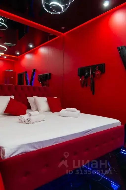 Студия Калужская область, Обнинск Лесная ул., 8 (24.0 м) - Фото 2