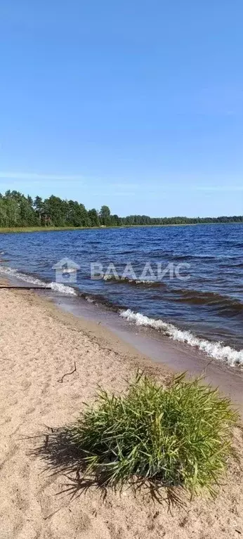 Участок в Новгородская область, Демянский муниципальный округ, д. ... - Фото 1