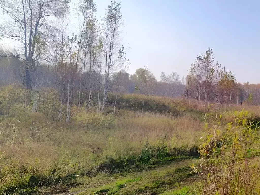 Участок в Новосибирская область, Новосибирский район, Станционный ... - Фото 0