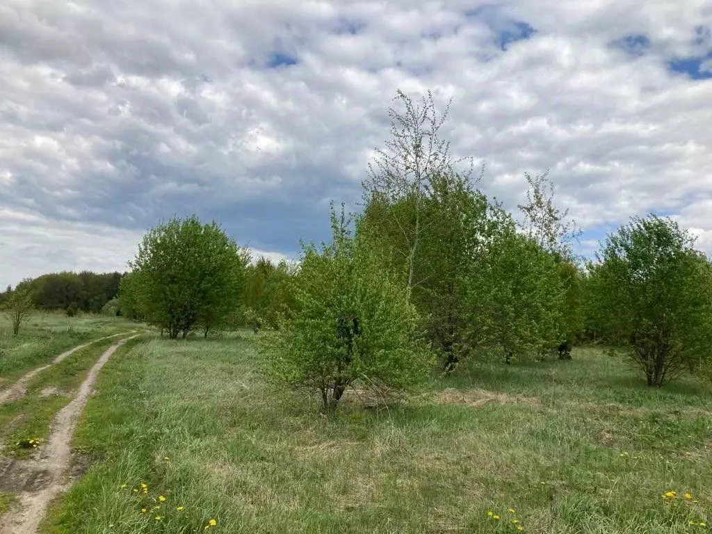 Участок в Тамбовская область, Рассказово ул. Валентина Корабельникова, ... - Фото 0