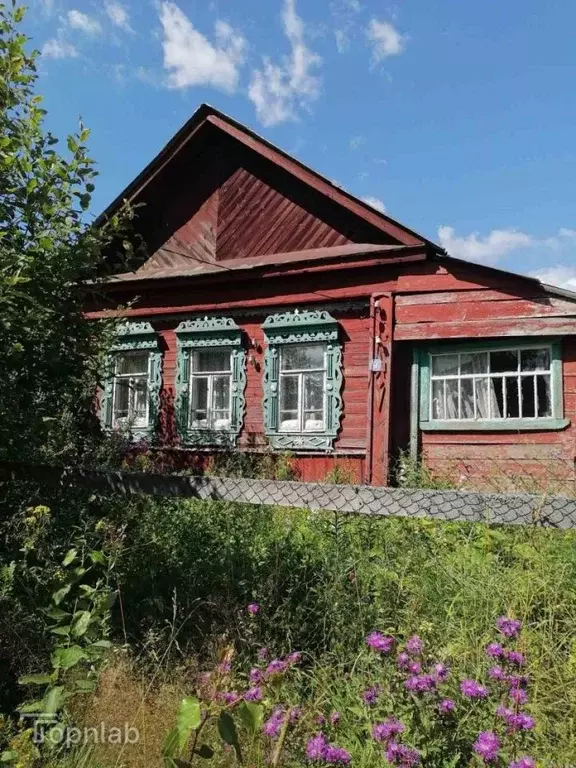 Участок в Владимирская область, Судогодский район, Мошокское ... - Фото 1
