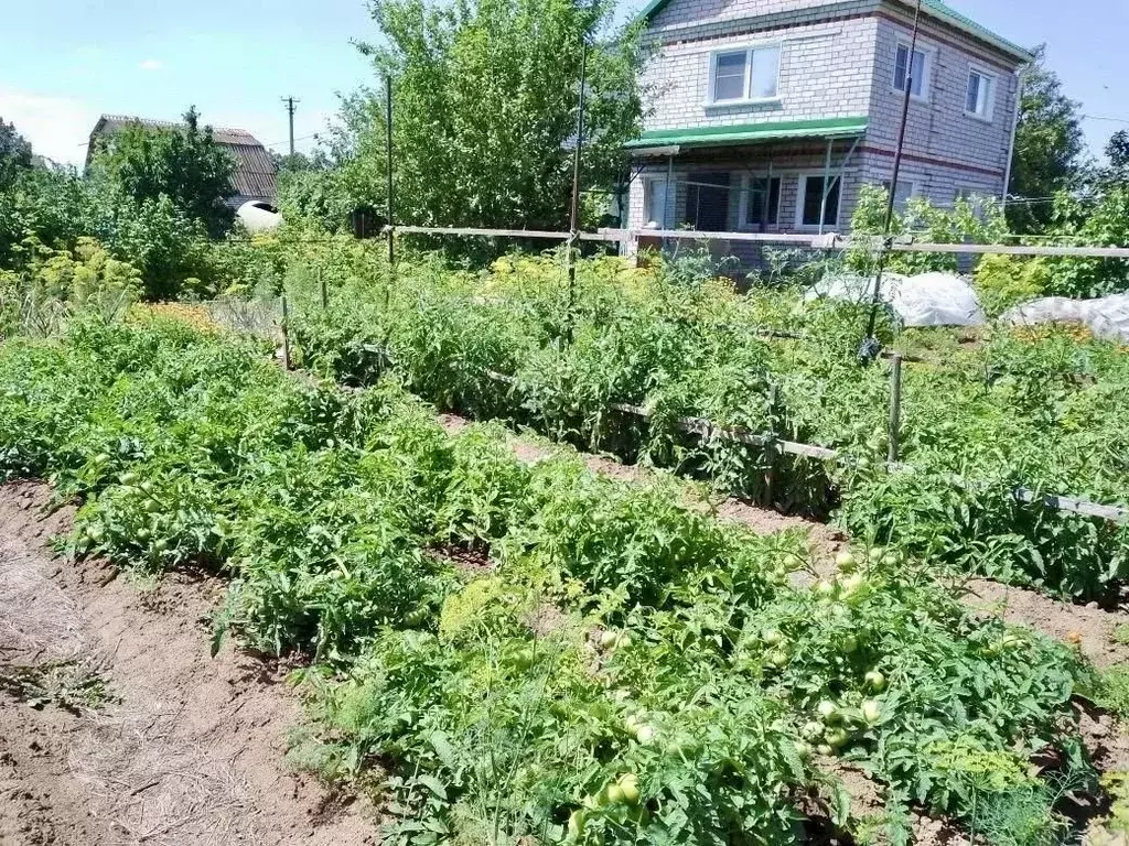 Дом в Волгоградская область, Волгоград Березка СНТ, ул. Мебельная (54 ... - Фото 2