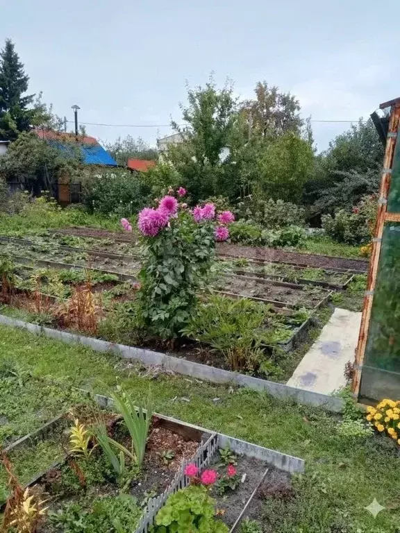 Дом в Тюменская область, Тюмень Плодовое СНТ, ул. Солнечная (20 м) - Фото 0