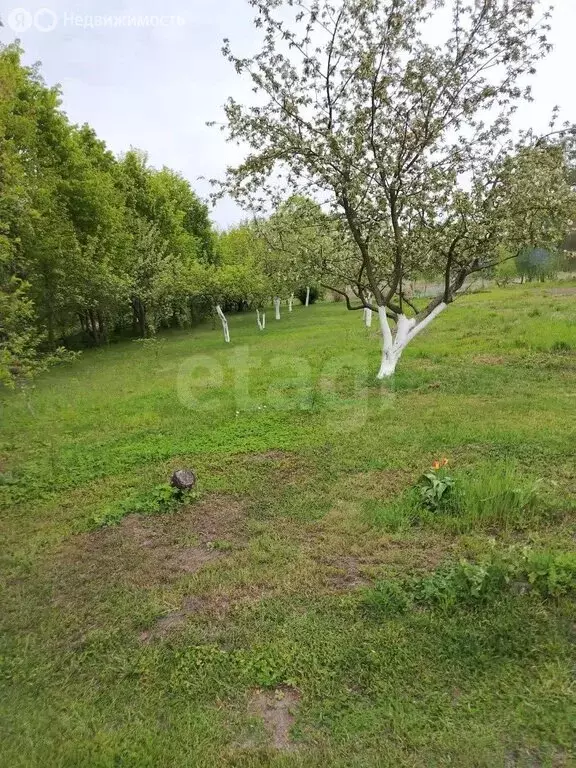 Участок в Балтийский городской округ, посёлок Прозорово (40 м) - Фото 1