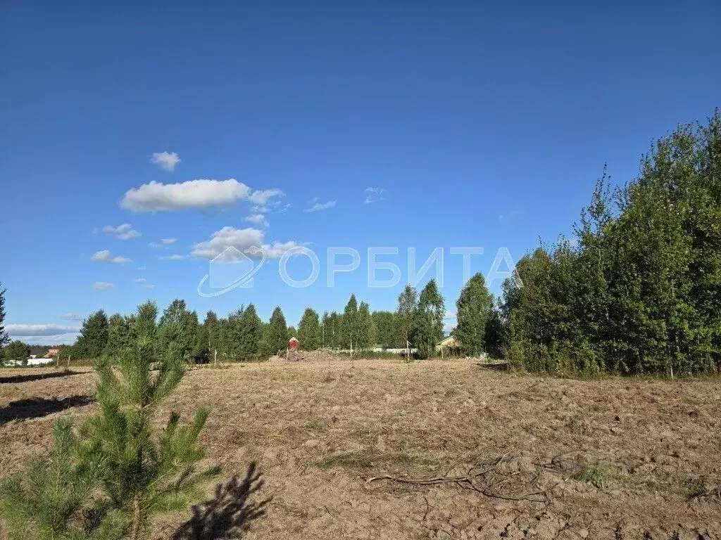 Участок в Тюменская область, Нижнетавдинский муниципальный округ, ... - Фото 0