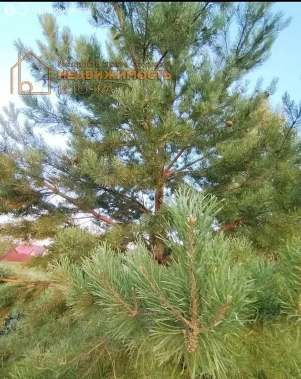 Участок в Нефтекамск, Газетная улица, 14 (10 м) - Фото 2