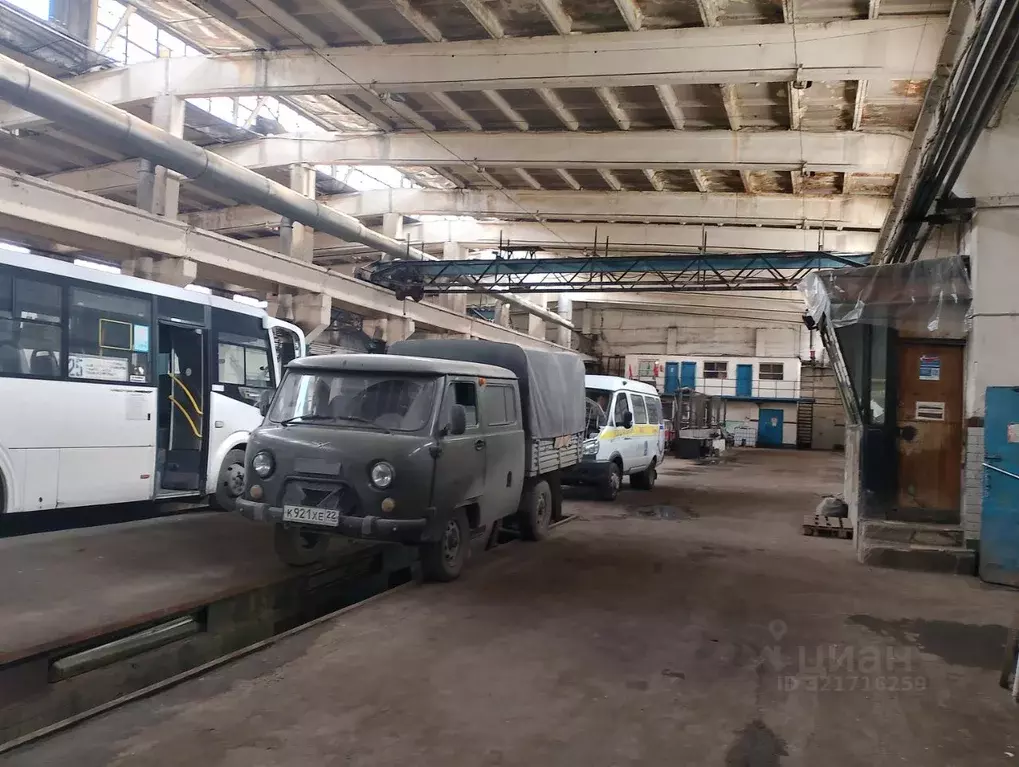 Помещение свободного назначения в Алтайский край, Барнаул просп. ... - Фото 1